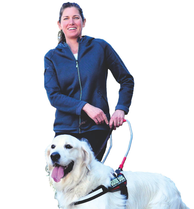 Katie training a white golden retriever wearing a guide dog harness.